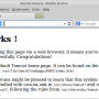 tomcat_mozilla_localhost80.png