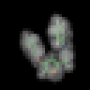 pymol-icon.png